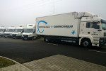 Szabo Frigo Cargo Flotta